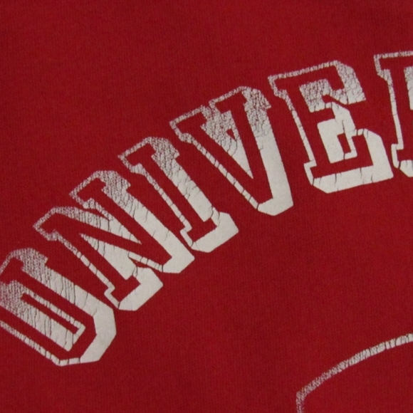 PINK Wisconsin Badger Distressed Sweatshirt M - Picture 5 of 6